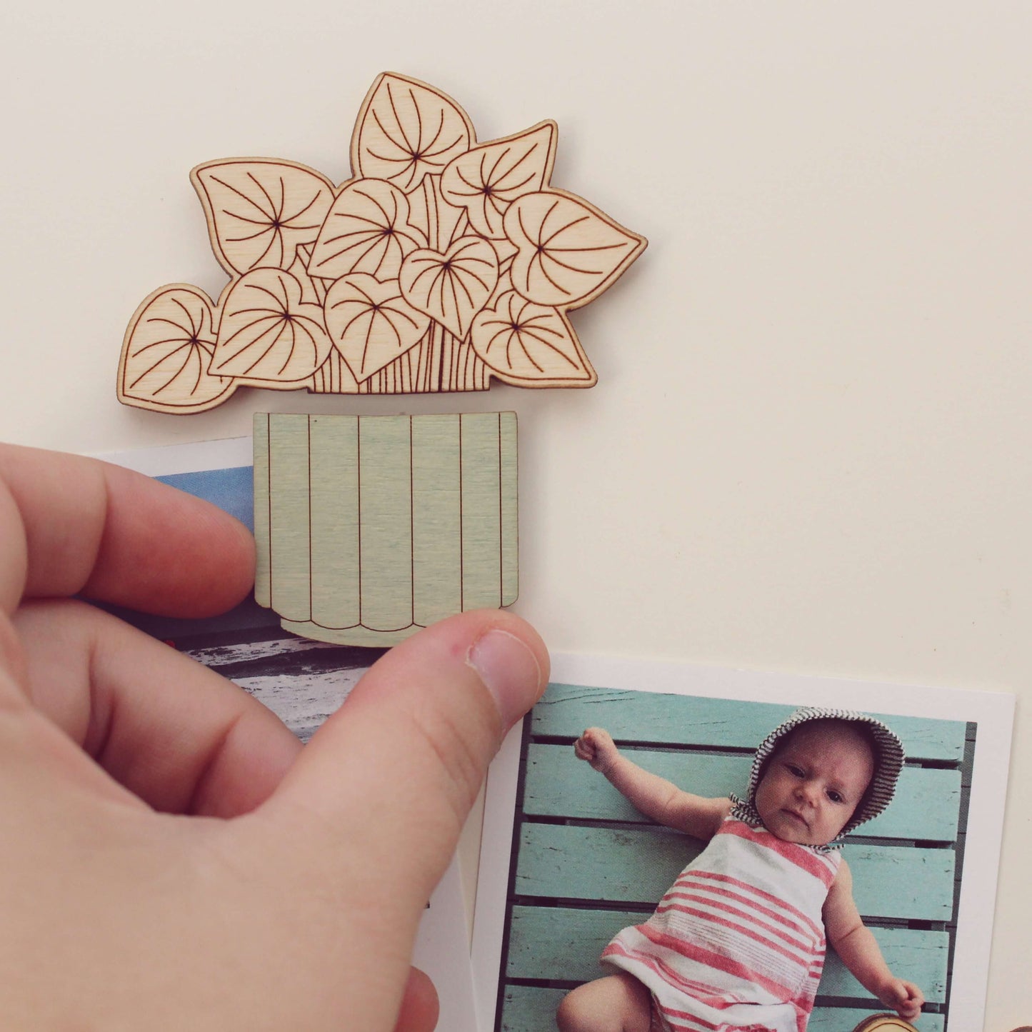 Laser Cut Wood Magnets: Houseplant - Watermelon Peperomia 2pcs