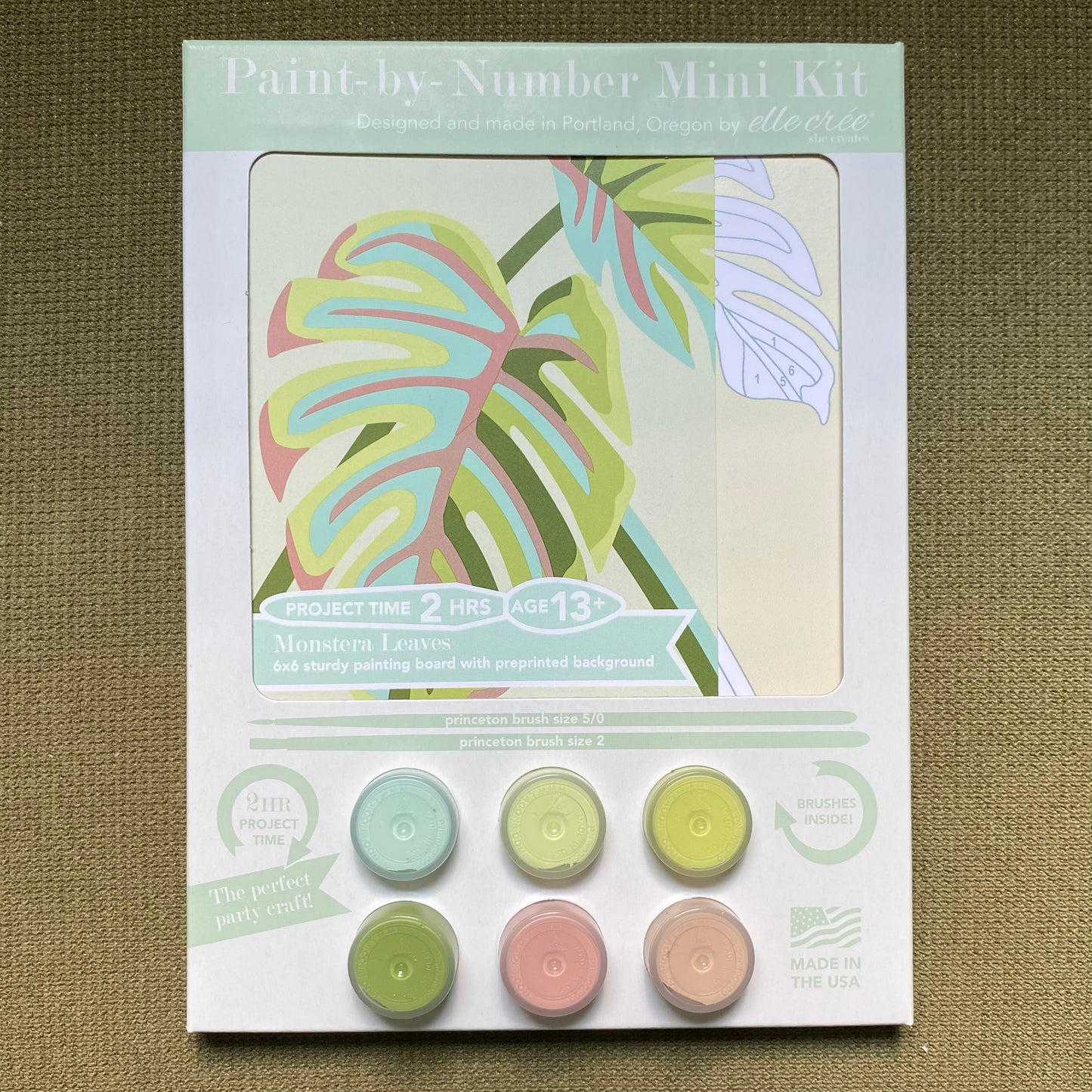 Paint-by-Number Kit: Monstera Leaves