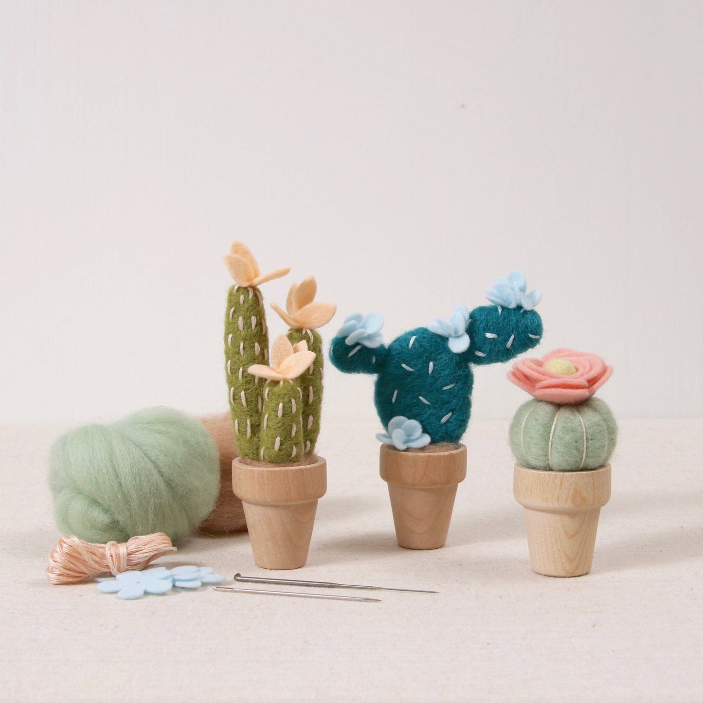 Needle Felting Kit:  Desert Rose Cactus