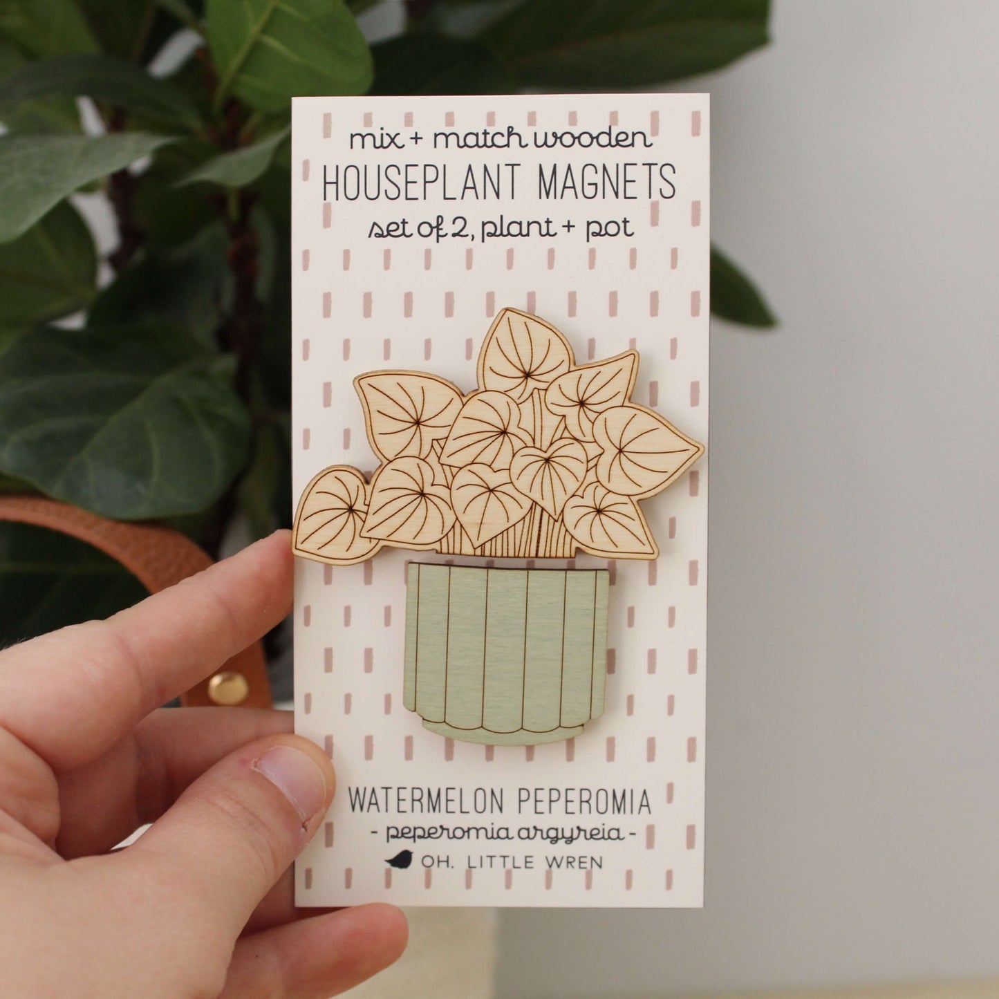 Laser Cut Wood Magnets: Houseplant - Watermelon Peperomia 2pcs