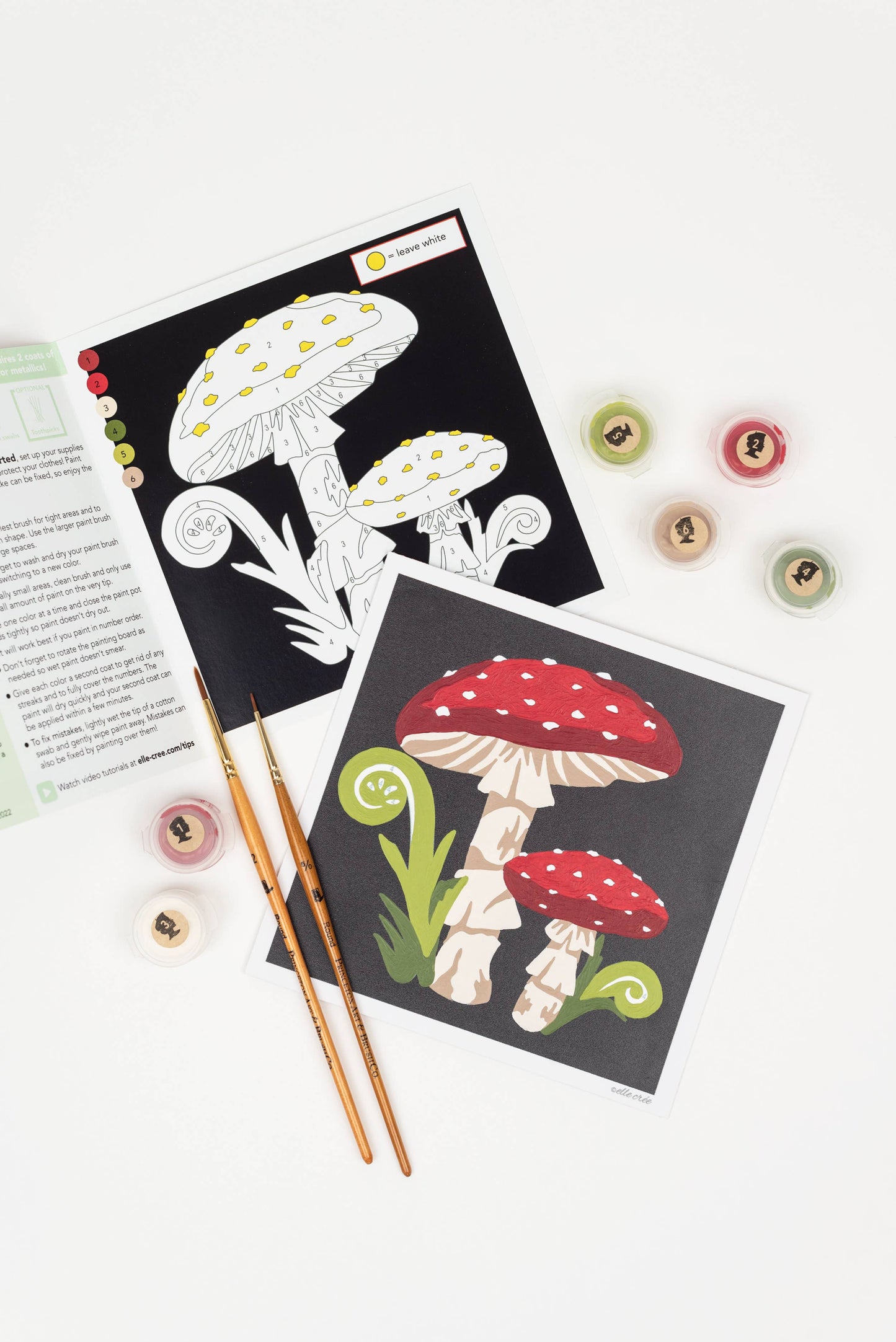 Paint-by-Number Kit: Red Toadstool Mushrooms